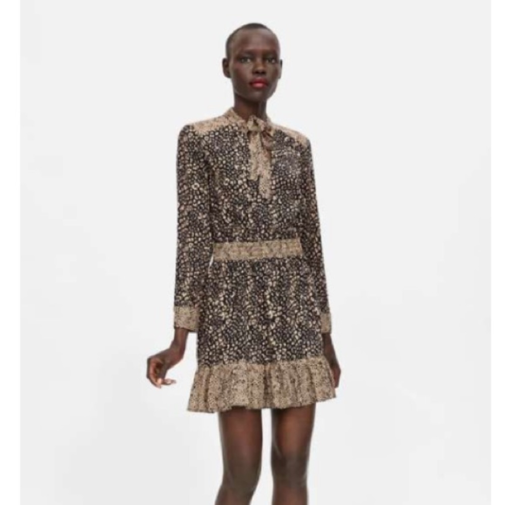 Zara Leopard Mini Dress